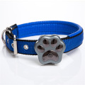 V30 IP66 GPS PET PET PET SUMINADORES DE PETO PET COLLAR PET PET PET GPS GPS